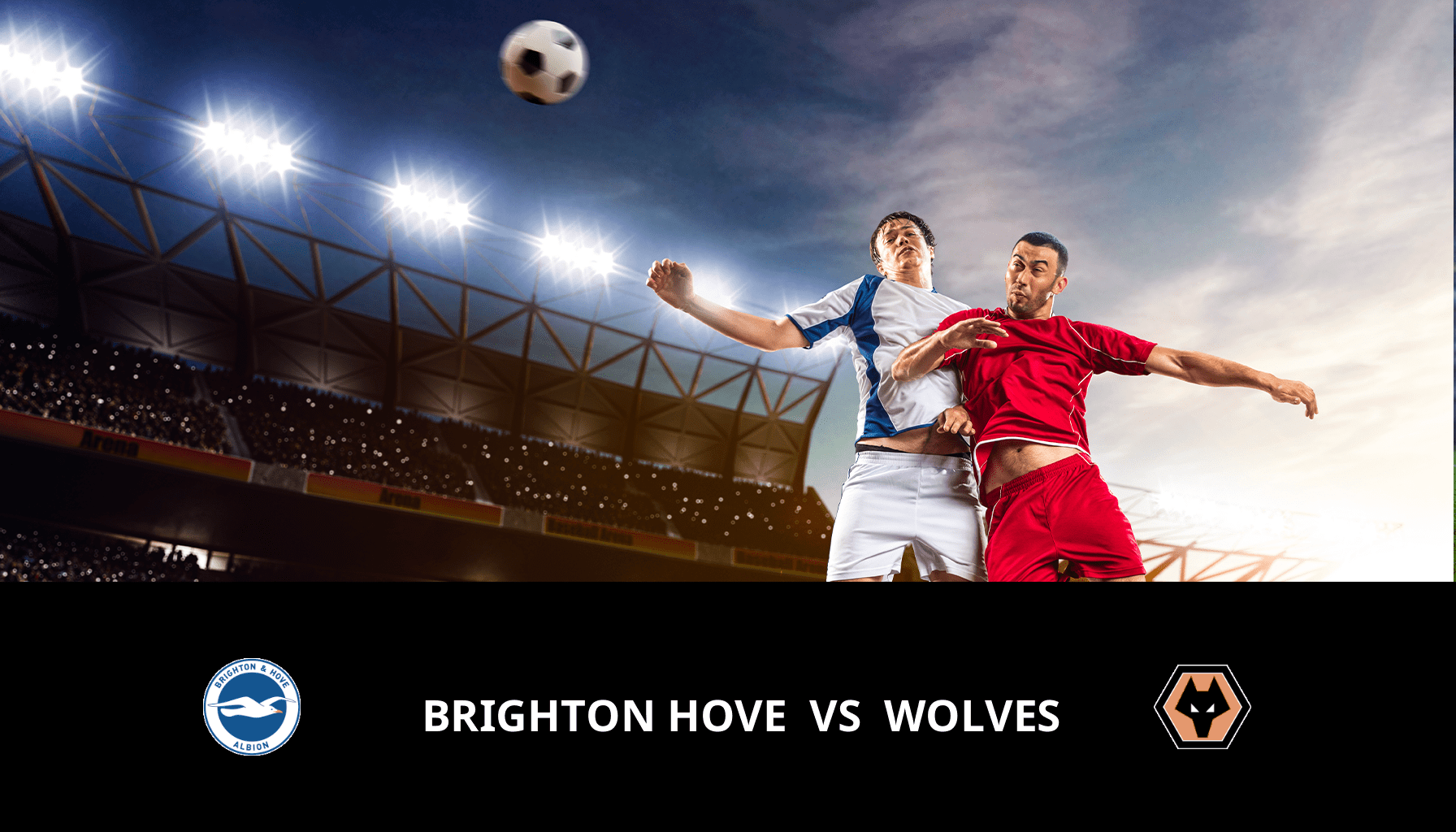 Prediction for Brighton VS Wolves on 22/01/2024 Analysis of the match